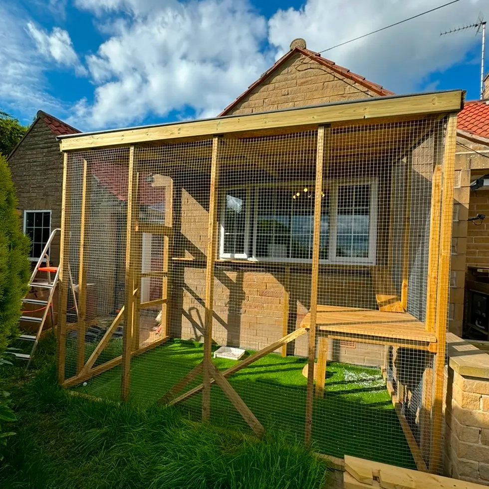 A catio next to a house window